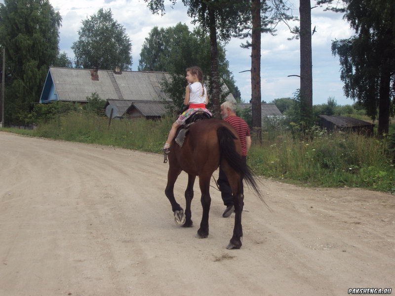 В праздник День деревни 18.07.2015 г.